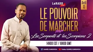 LE POUVOIR DE MARCHER sur les serpents et Scorpions 2 | La RADD LIVE | Mercredi 13 Avril 2022