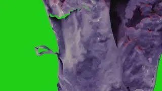 Paper burn Transition Green and Black Screen with Burn Sound effect #youtube #animation #greenscreen