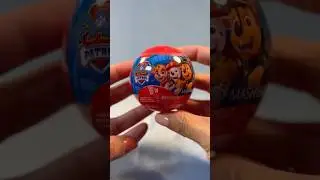 🐾ASMR Paw Patrol Mash&rsquo;ems Unboxing! Squishy Surprise Toy