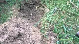A Couple Hunts at some Victorian Sites Yield Silver Coins!