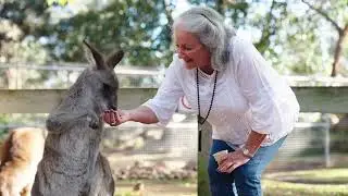 FJ Tours | Award Winning Blue Mountains Tour