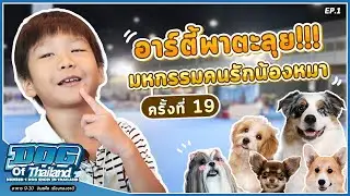 EP. 1 อาร์ตี้พาตะลุย!! งาน Thailand international dog show ครั้งที่ 19