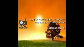 Raio web Pernambuco zap 81 983044628