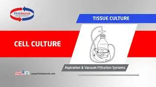 FirstSource for your Cell Culture Lab