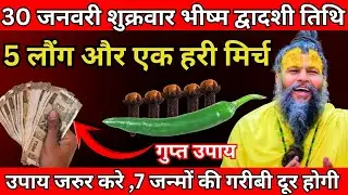 30 जनवरी शुक्रवार भीष्म द्वादशी तिथि के दिन 5 लौंग और एक हरी मिर्च वाला उपाय जरूर करे| Premanand Ji