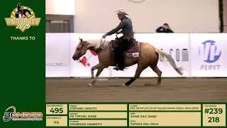 Futurity 2025 - STEFANO CERUTTI & FB TOPSAIL SHINE score 215,5