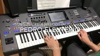 Sounds Like a Melody (Alphaville) cover played live by Pedro Eleuterio with Yamaha Genos Keyboard