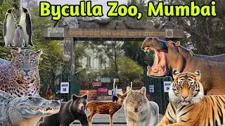 Byculla Zoo Mumbai 🦁 Complete Tour | Tickets, Timings & Animals