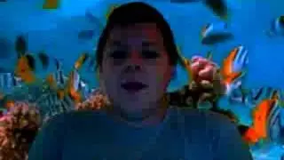 Tidaltv Video Commit