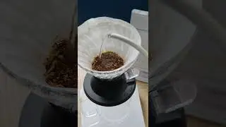 COFFEE WITH THE HARIO SWITCH AND THE 1ZPRESSO X-ULTRA