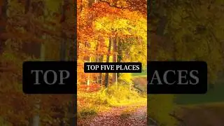TOP 5 PLACES TO SEE FALL COLOURS IN ONTARIO