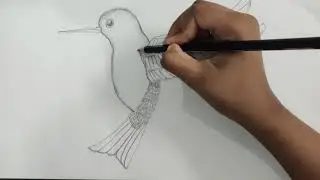 How to draw a Bird Drinking Water step by step _Sketch Drawing