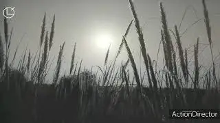 Mihir garh hotel in khandi rohat