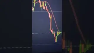 the best forex broker 2024