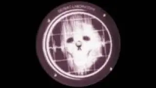 Cosmic spore - Chaotic soundwave (Seismic records detroit 08) 2000. B2: Untitled.
