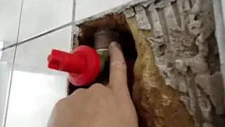 Meu banheiro apresentou manchas escuras no revestimento  o que pode ser?