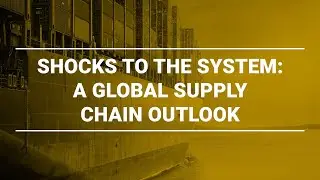 Shocks to the system: A global supply chain outlook