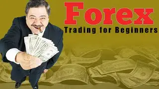 Forex Trading Questions For Beginners