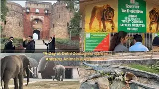 &ldquo;A Day at Delhi Zoological Garden: Amazing Animals & Attractions&rdquo; 2026