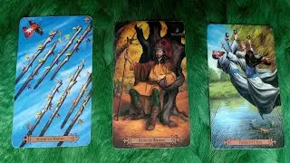 HỌ CÓ MUỐN QUAY LẠI VỚI BẠN KHÔNG? HÀNH ĐỘNG VÀ CÁI KẾT? @EvelynTarot