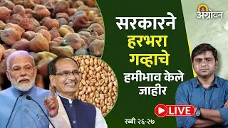 Rabbi MSP 2026: केंद्र सरकारने  हरभरा हमीभावात किती वाढ केली?| Agrowon