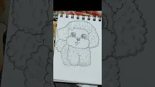 Simple Pencil Sketch:Fluffy Puppy✨✨#shorts #drawing #kawaii puppy#pencil sketch#cute dog#fluffy dog