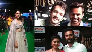 South Indian Celebrities at IIfa 2017