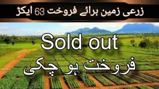 Agriculture land for sale | 63 Acres | Gujju city | District Thatta Sindh