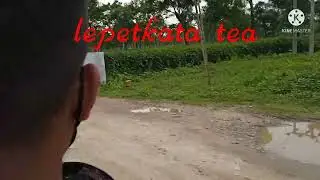 lepetkata tea garden. shots video          ...... #kk__bhai# subscribe please🙏