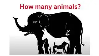 Discover Hidden Animals in Images!. Analytical Skills Development: