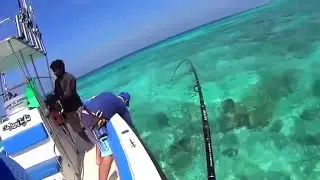 GT360 - Light casting on shallow water