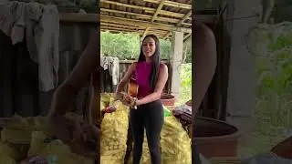 Y QUE SI LES GUST&Oacute; ✨ #huasteca #mexicana #veracruz #Sones #ceciboeta #huapangos