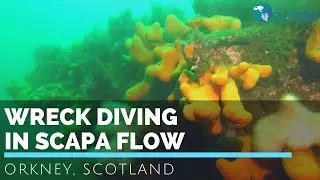 Scuba diving in Scotland : Scapa Flow & Churchill Barriers, Orkney, Scotland