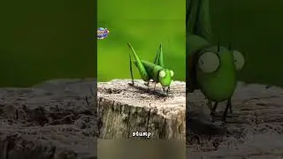 silly insect race@InsecthausTV @short@animation@youtube