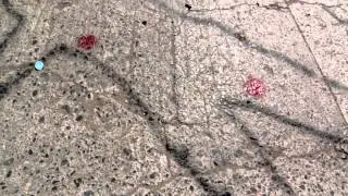 Finalista PPEA 2014 - La masacre de Iguala I y II (Canal 13)