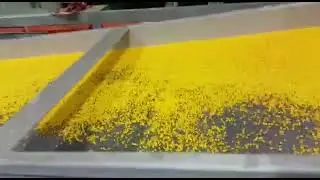 Almanya granül hattı #extruder #production #machine #plastic #rawmaterial#üretim #imalat #tiktok#fyp