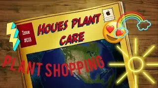 Houseplant care Plant shopping Vlog 018 #houseplantcare #houseplants #lvplantcollective