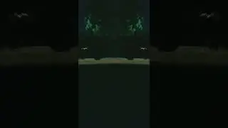 MOUTHBREATHER (VISUALISER)