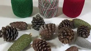 pattiewack.com