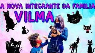 ADOTANDO UM PET NOS EUA 🇺🇸🥰