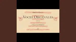 Voces Organales, Cyclus Primus XI