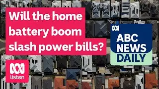 Will the home battery boom slash power bills? | ABC News Daily podcast