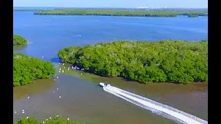 Beavertail Skiffs:  Strike