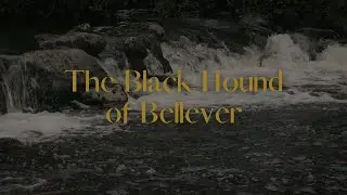 The Black Hound of Bellever Forest: Eyes in the Dark