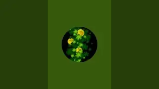 Vin777 is live Candy Crush Live