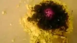 Firex &reg; Alev &Ouml;nleyici