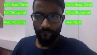 Fatigue Detection for ADAS (bearded face)