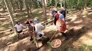 Viking chaos in the forest