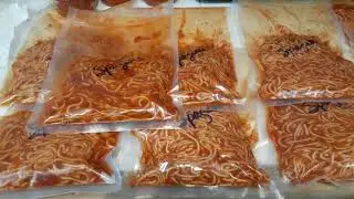 Foodsaver vacuum sealed Spaghetti.