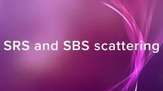 STIMULATED RAMAN AND BRILLOUIN SCATTERING